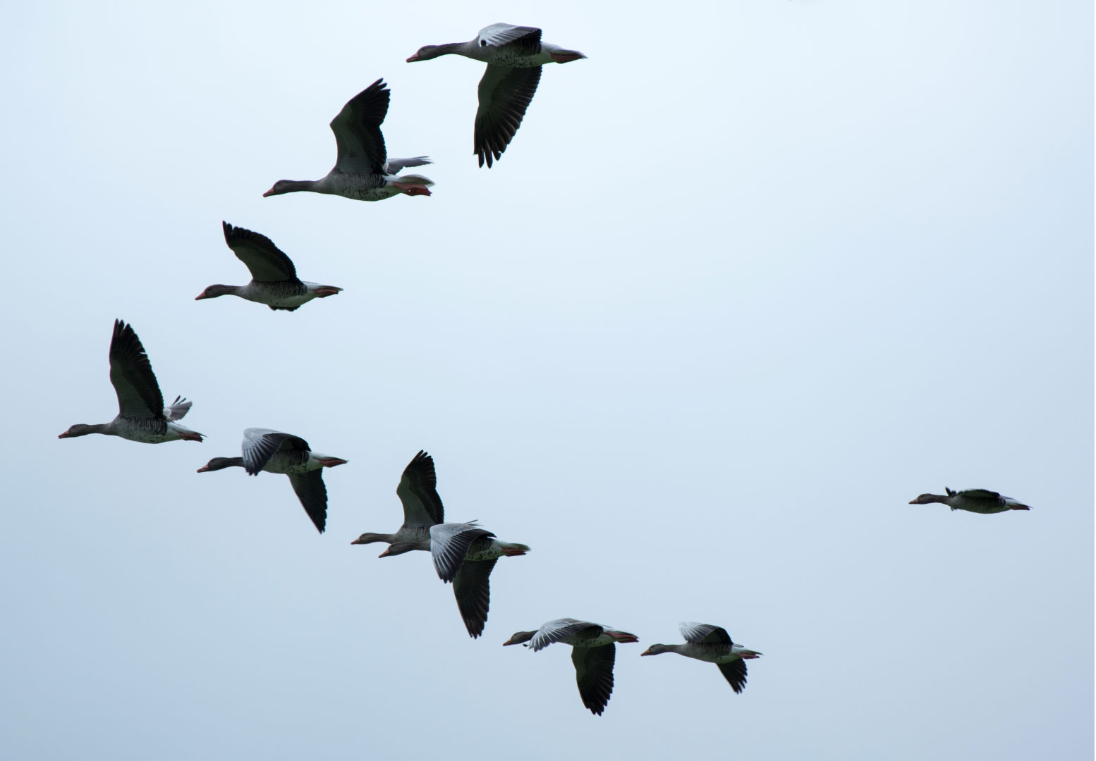 Understanding loneliness Part II: Breaking out of the cycle 