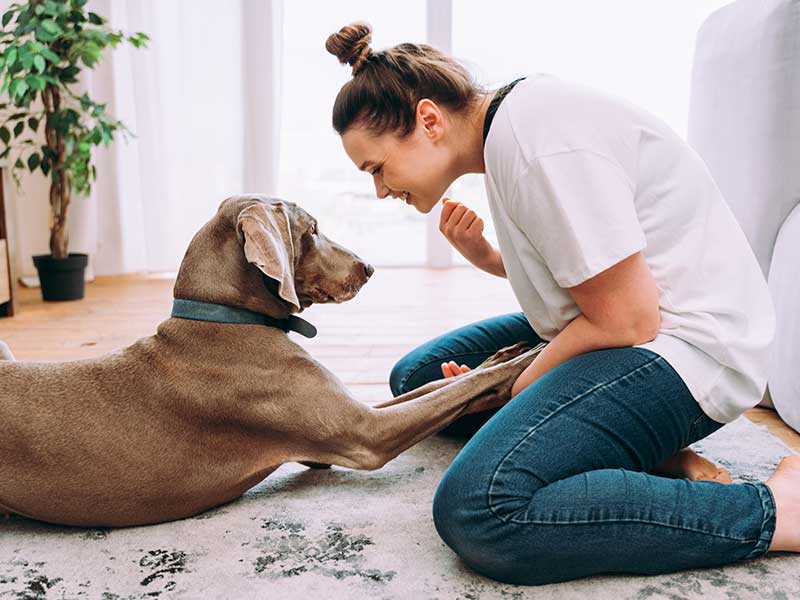 Self-Care that Actually Helps